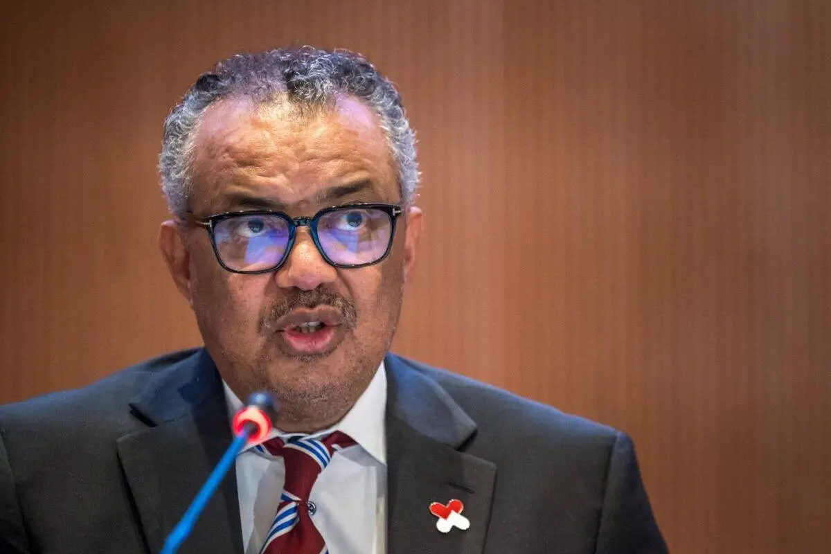 WHO chief in Yemen